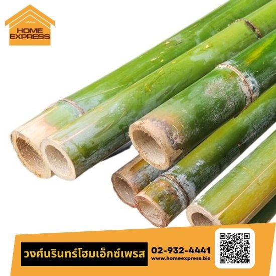 นั่งร้านไม้ไผ่ นั่งร้านไม้ไผ่