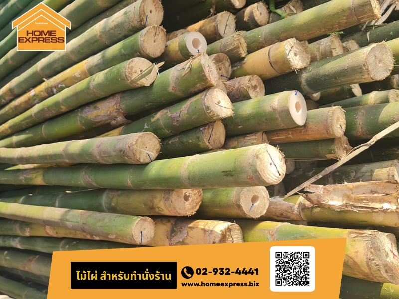 ไม้ไผ่ (สำหรับทำนั่งร้าน)